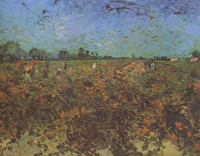 Vincent Van Gogh The Green Vineyard (nn04) Germany oil painting art